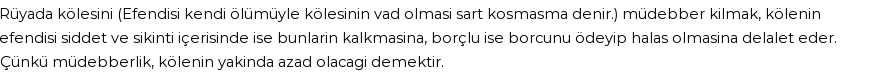 Derleme'ye Göre Rüyada Köle Ve Cariyeyi Müdebbir Kılmak Görmek