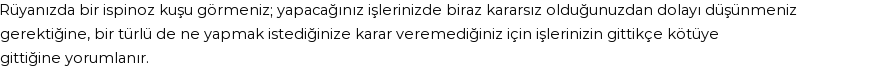 Diyanet'e Göre Rüyada İspinoz Kuşu Görmek