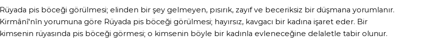 Diyanet'e Göre Rüyada Pis Böceği Görmek