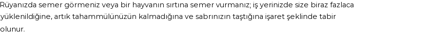 Diyanet'e Göre Rüyada Semer Görmek