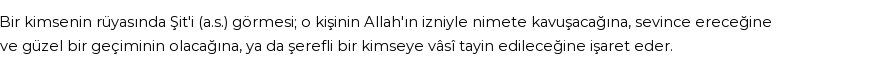 Diyanet'e Göre Rüyada Şit (a.s.) Görmek