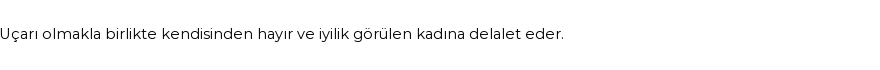 İhya'ya Göre Rüyada İspirto Görmek