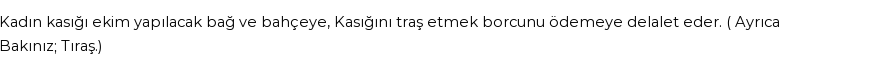 İhya'ya Göre Rüyada Kasık Görmek