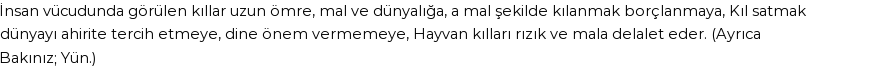 İhya'ya Göre Rüyada Kıl Görmek