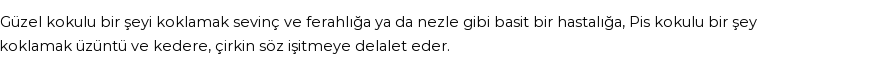 İhya'ya Göre Rüyada Koklamak Görmek