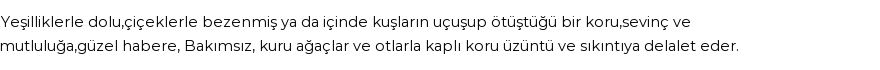 İhya'ya Göre Rüyada Koru Görmek