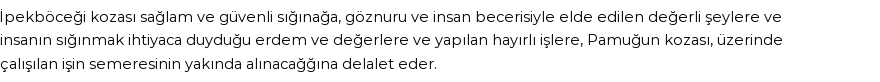 İhya'ya Göre Rüyada Koza Görmek