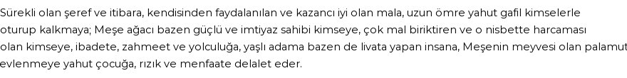 İhya'ya Göre Rüyada Meşe Görmek