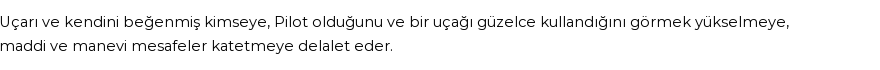 İhya'ya Göre Rüyada Pilot Görmek