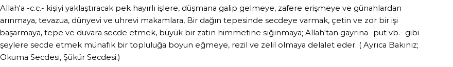 İhya'ya Göre Rüyada Secde Görmek