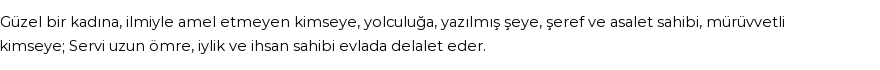 İhya'ya Göre Rüyada Servi Görmek