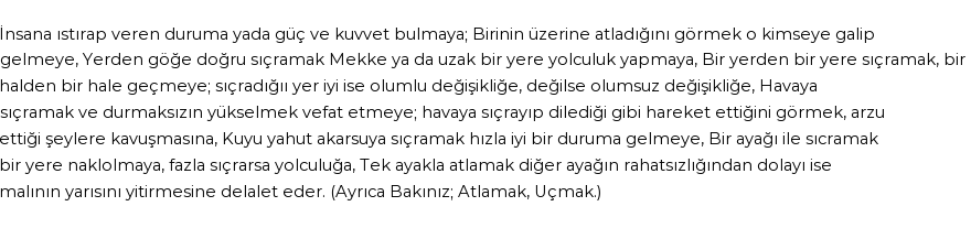 İhya'ya Göre Rüyada Sıçramak Görmek