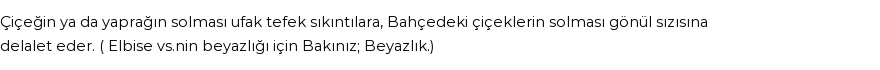 İhya'ya Göre Rüyada Solmak Görmek