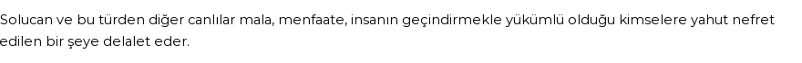 İhya'ya Göre Rüyada Solucan Görmek