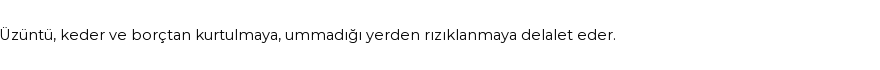 İhya'ya Göre Rüyada Sübhanellah Demek Görmek