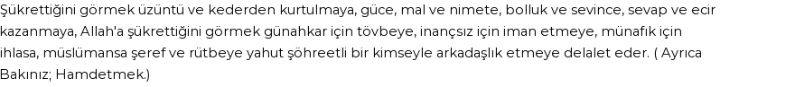 İhya'ya Göre Rüyada Şükretmek Görmek