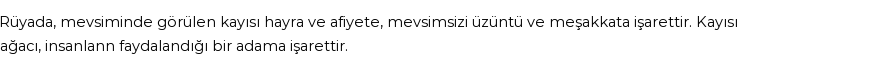 Molla Cami'ye Göre Rüyada Kayısı Görmek