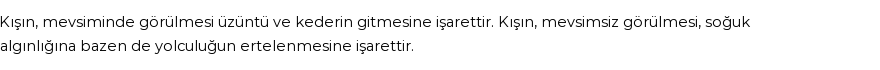 Molla Cami'ye Göre Rüyada Kış Görmek