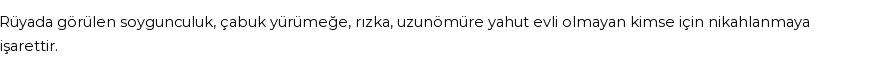 Molla Cami'ye Göre Rüyada Soygunculuk Görmek