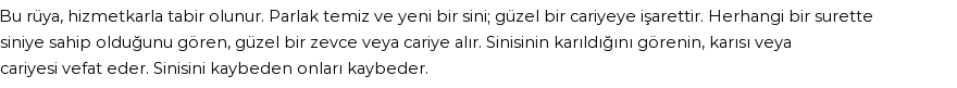 Seyyid Süleyman'a Göre Rüyada Sini Görmek