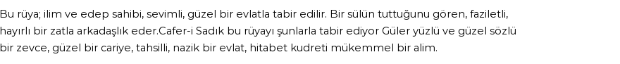 Seyyid Süleyman'a Göre Rüyada Sülün Görmek